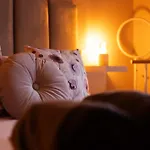 Southview بيت للعطل ويندرمير